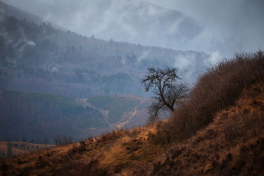 Warme Winter. Karpaten.