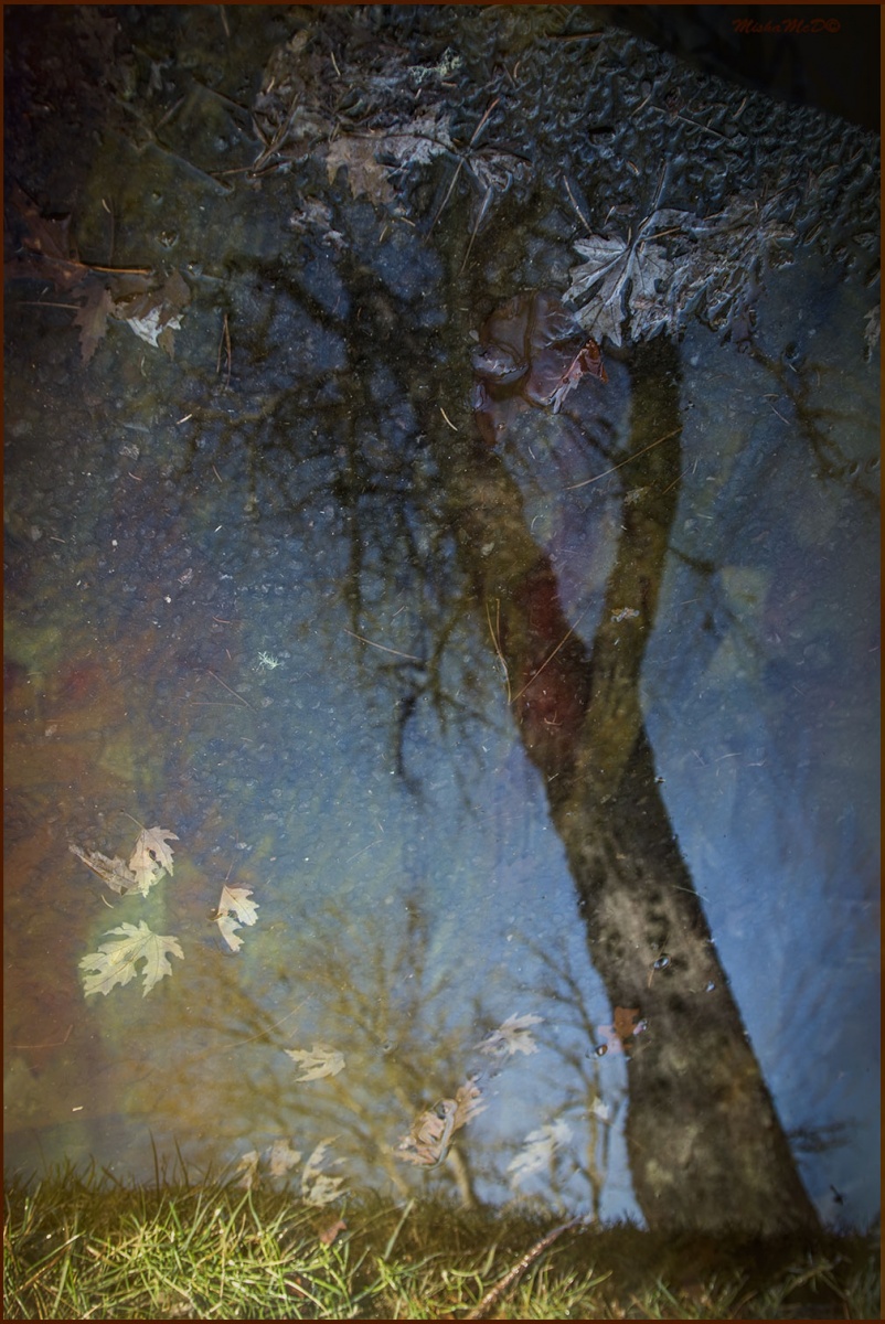 auf der anderen Seite des Blattfall ...