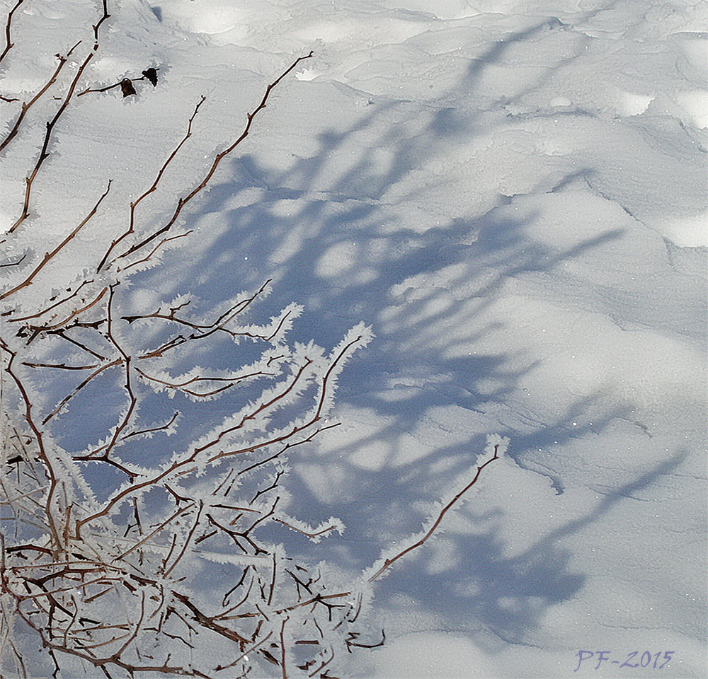 ... Und wahrsagen die Schatten ...