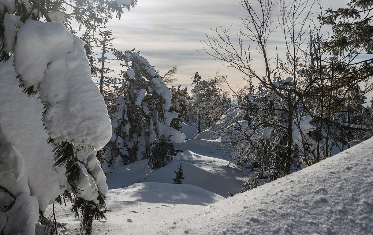 Unter dem Gewicht von Schnee