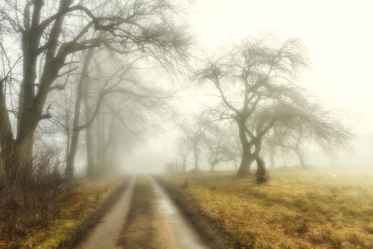 Die Straße auf den Hof