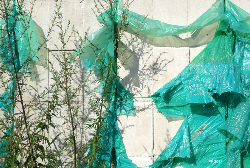 Glückliches Neues Jahr !!!