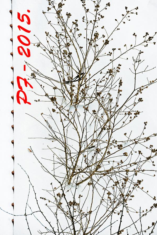 Glückliches Neues Jahr !!! Seien Sie unser gesundes !!!