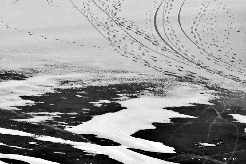 Glückliches Neues Jahr !!!