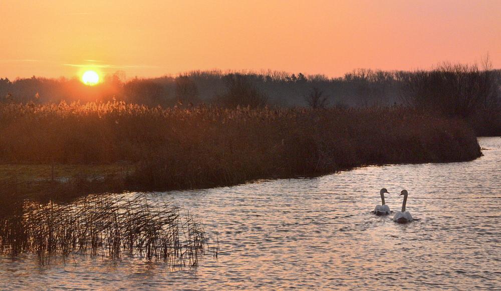 The first sunrise of 2015.