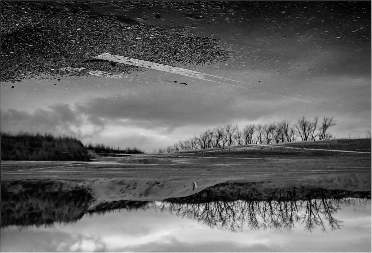 <Misha im Wunderland>