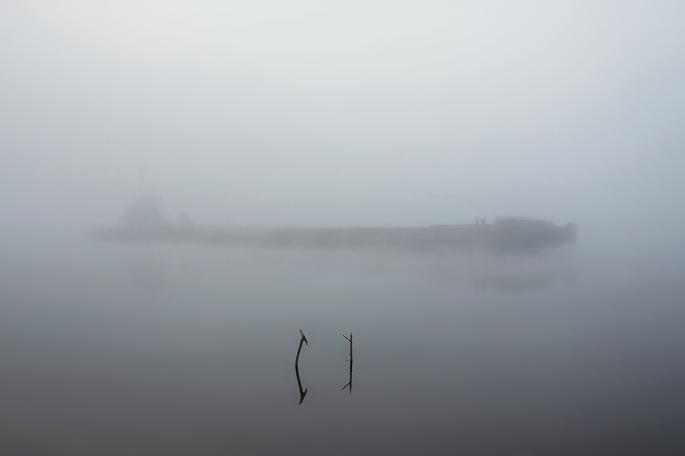 Phantom der heimischen Gewässern