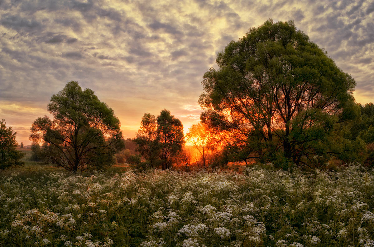 Schwül Duft der Blumen