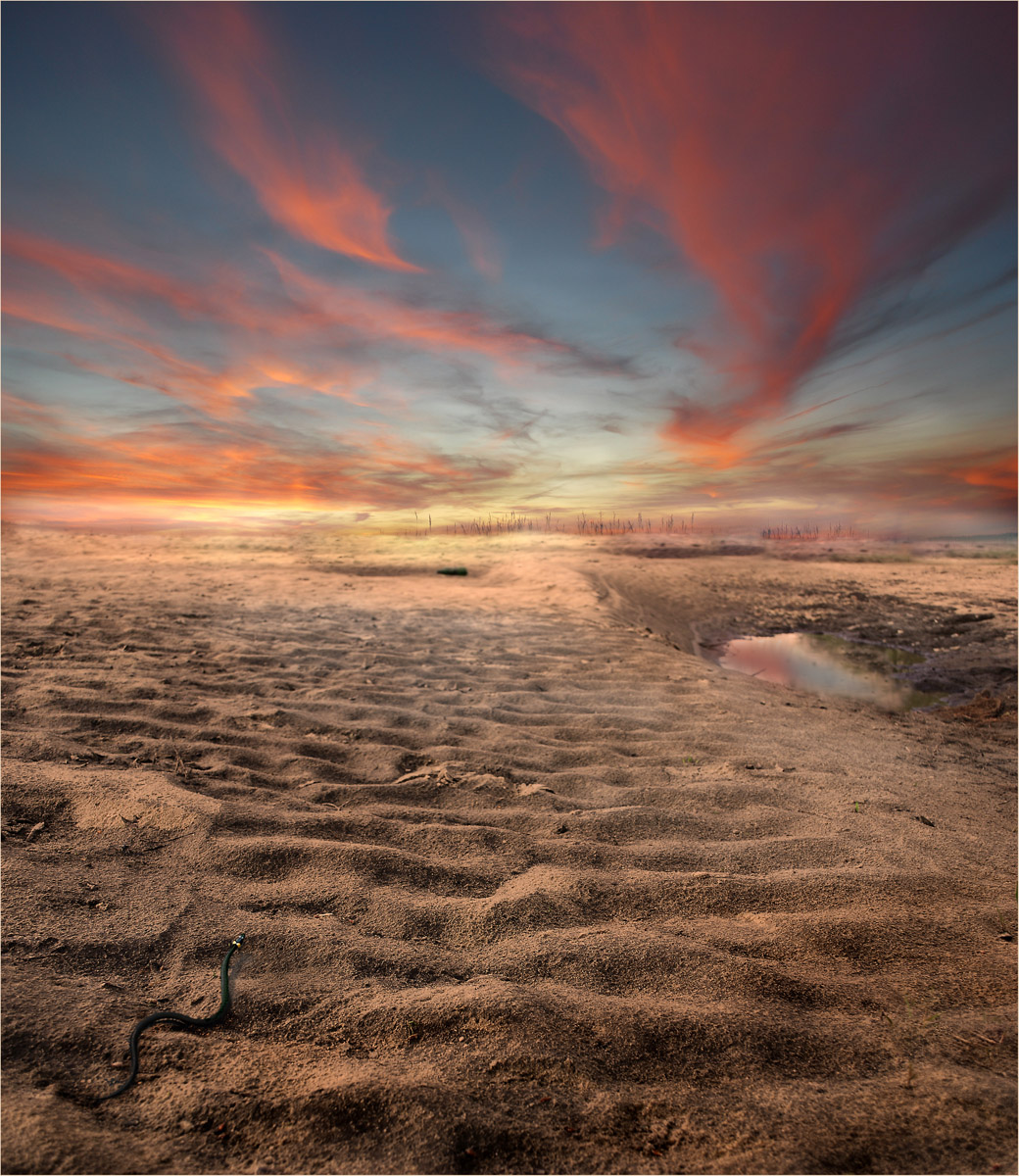 Und die Schlange ändert seine Haut
