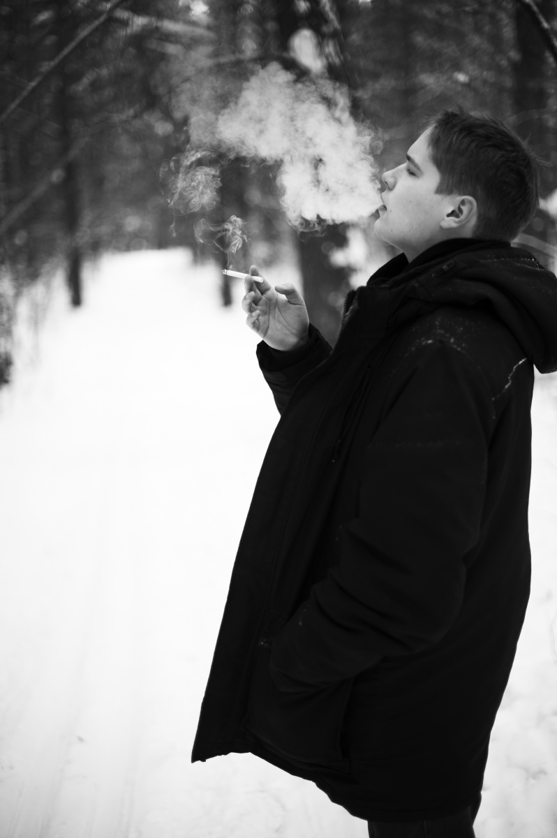 Allee im alten Park.