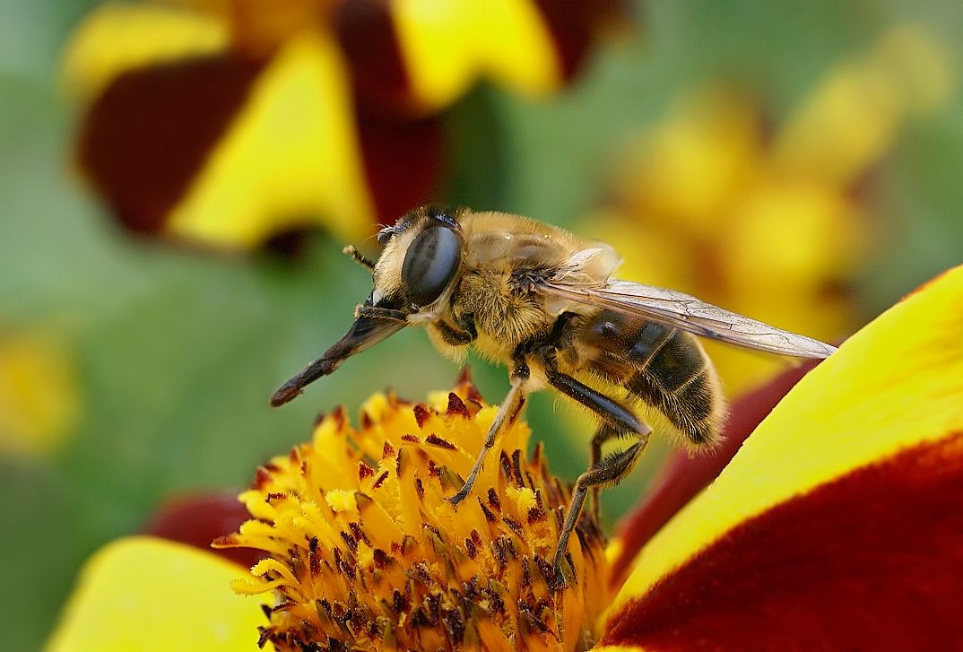 "Wir müssen ... müssen waschen ..."