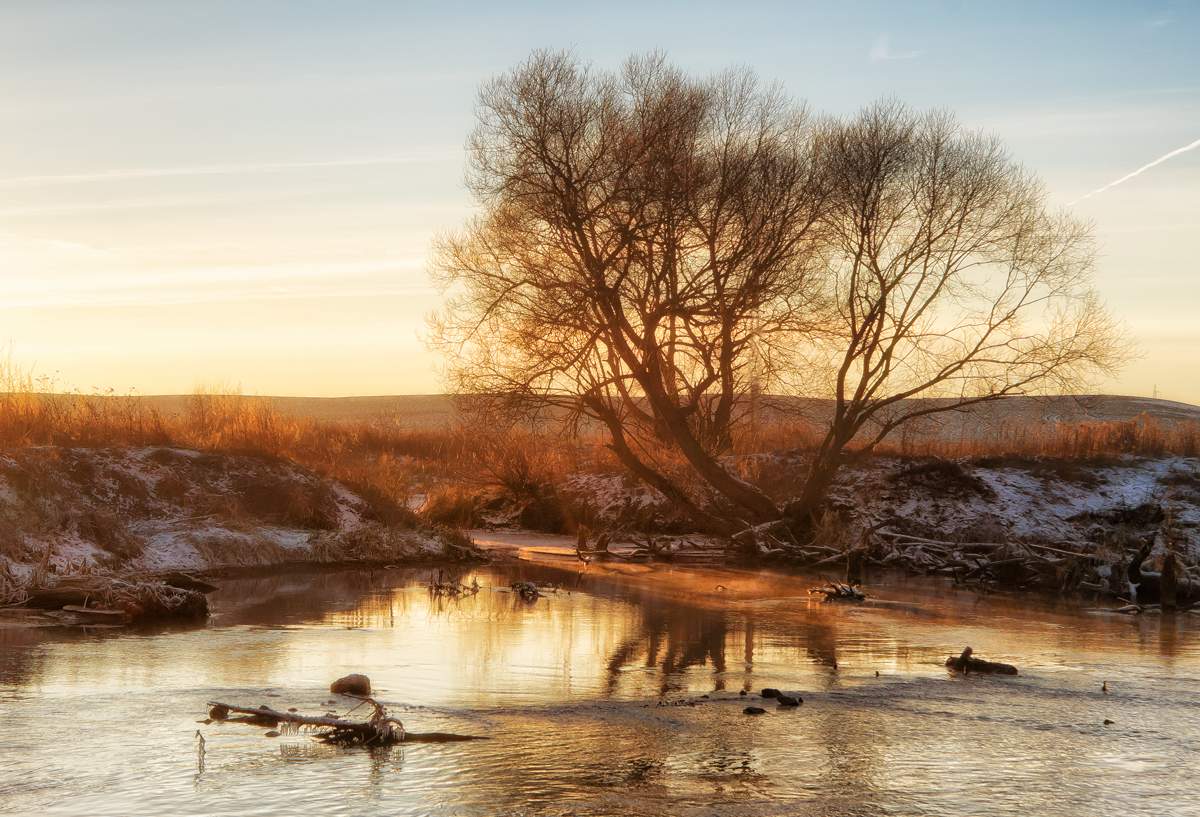 Weihnachtsfeier im Svislochi