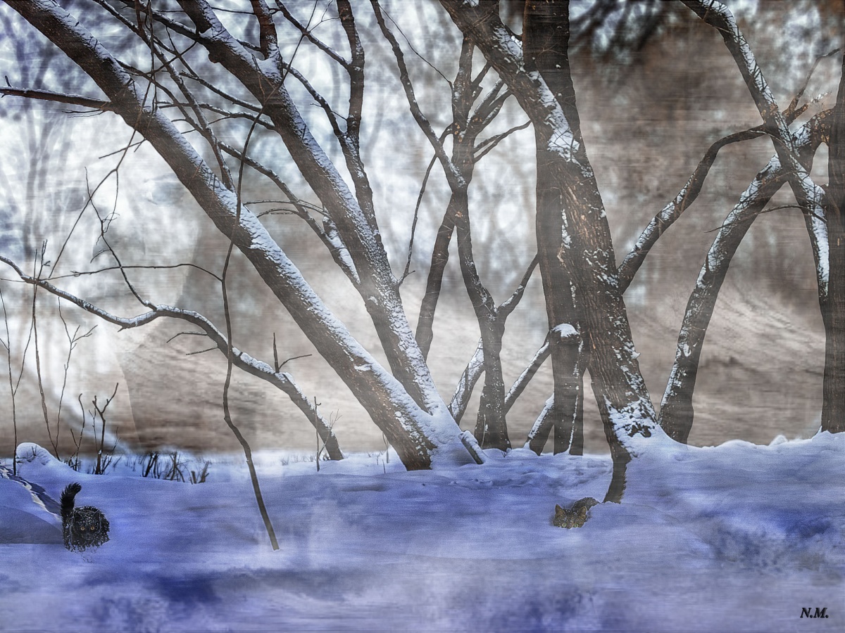 Frau Holle (Frau Blizzard)