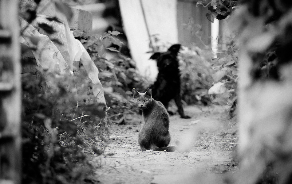 Nicht in die Angelegenheiten anderer Leute zu gehen!