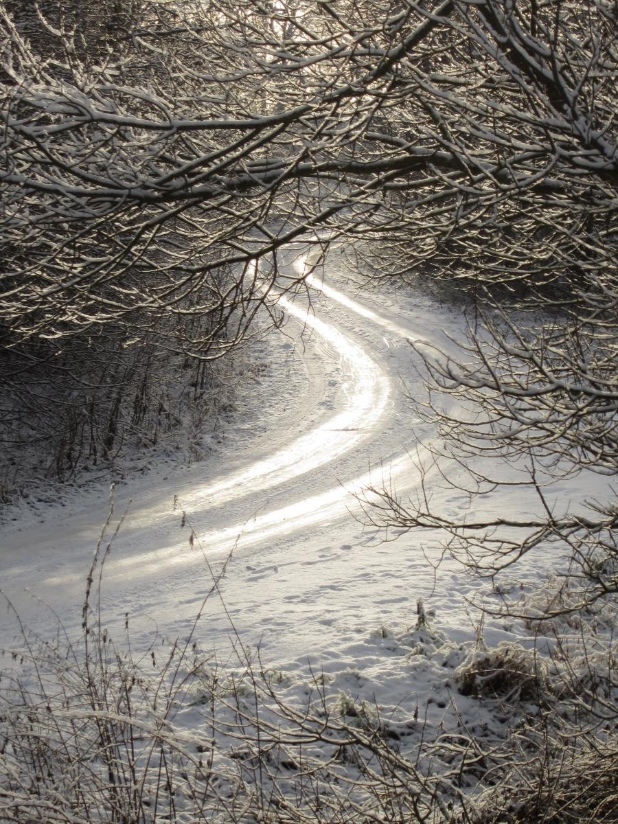 Der Weg zum Haus meiner Mutter