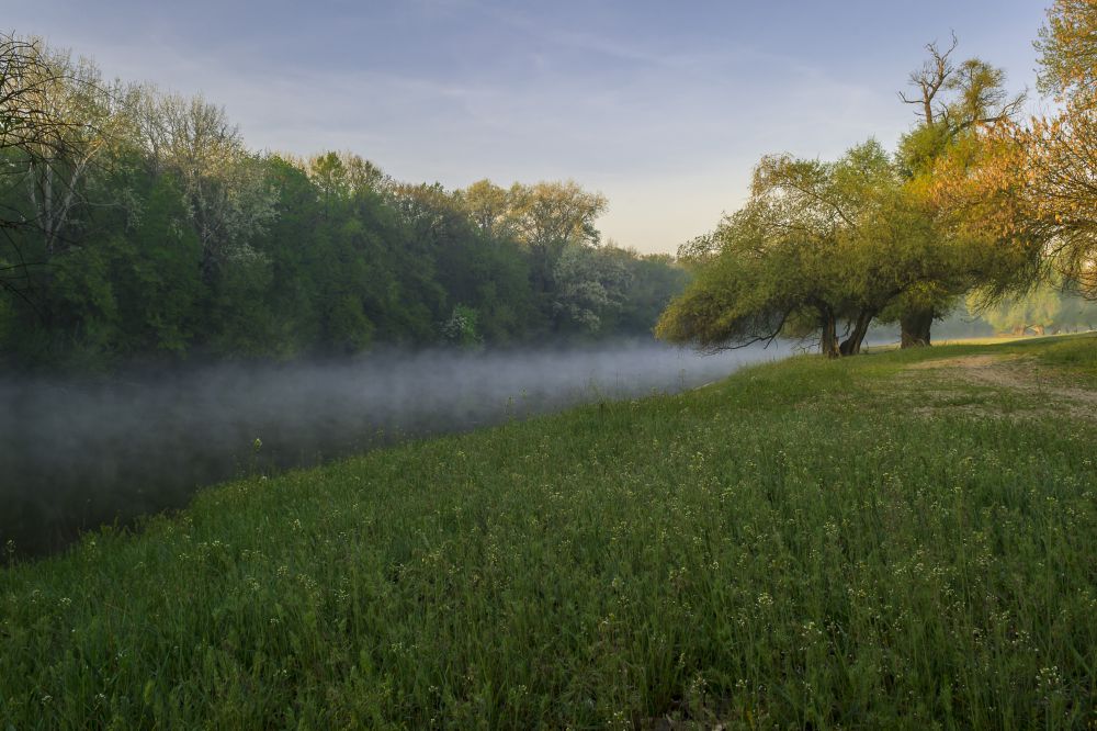 Nebel auf dem Fluss Psel