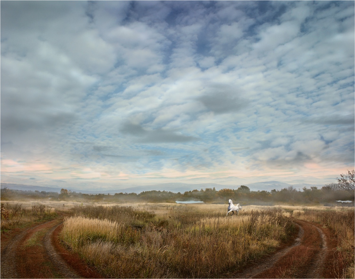 Windmills of My Mind