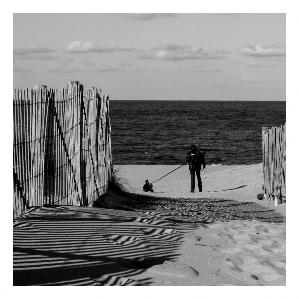 * Mit Blots an der Leine *