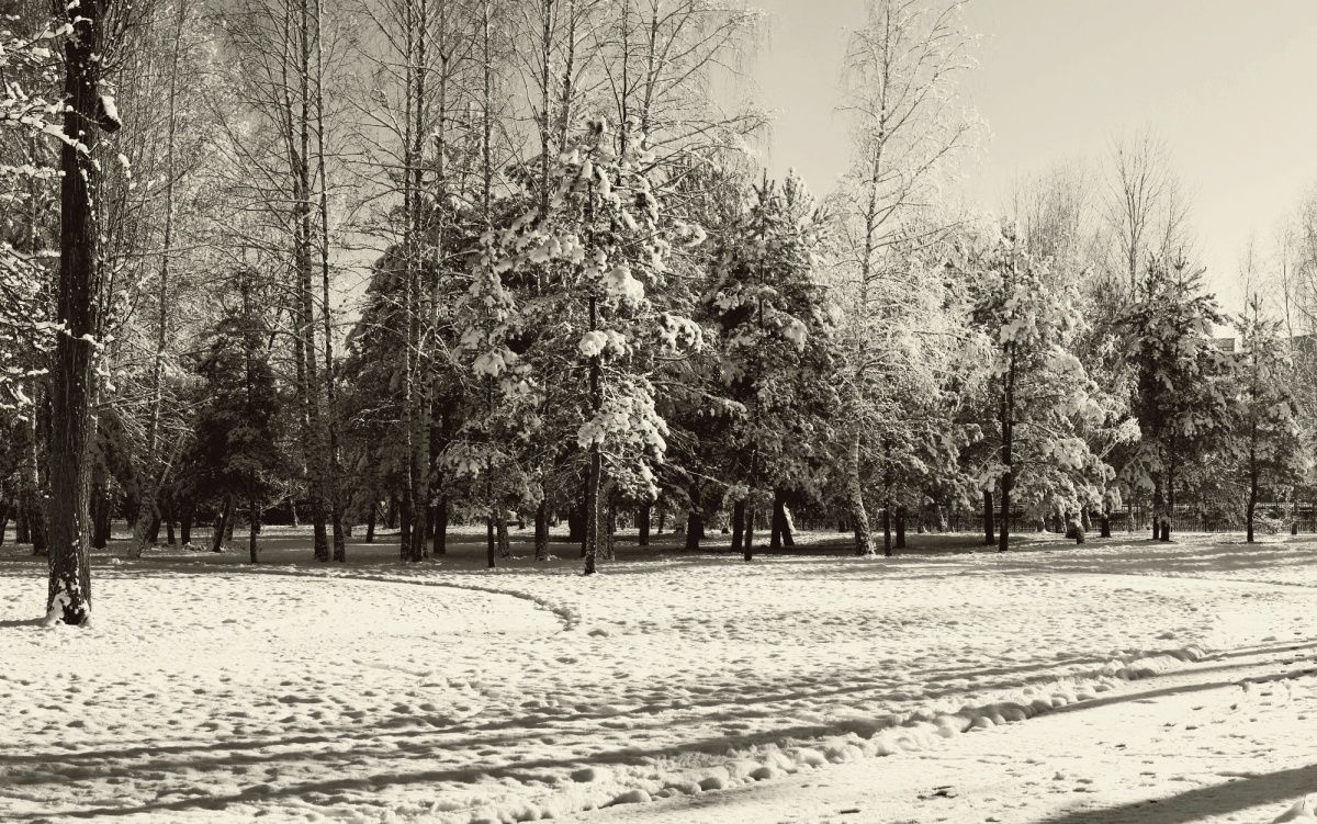 Winter ausgehenden Jahr