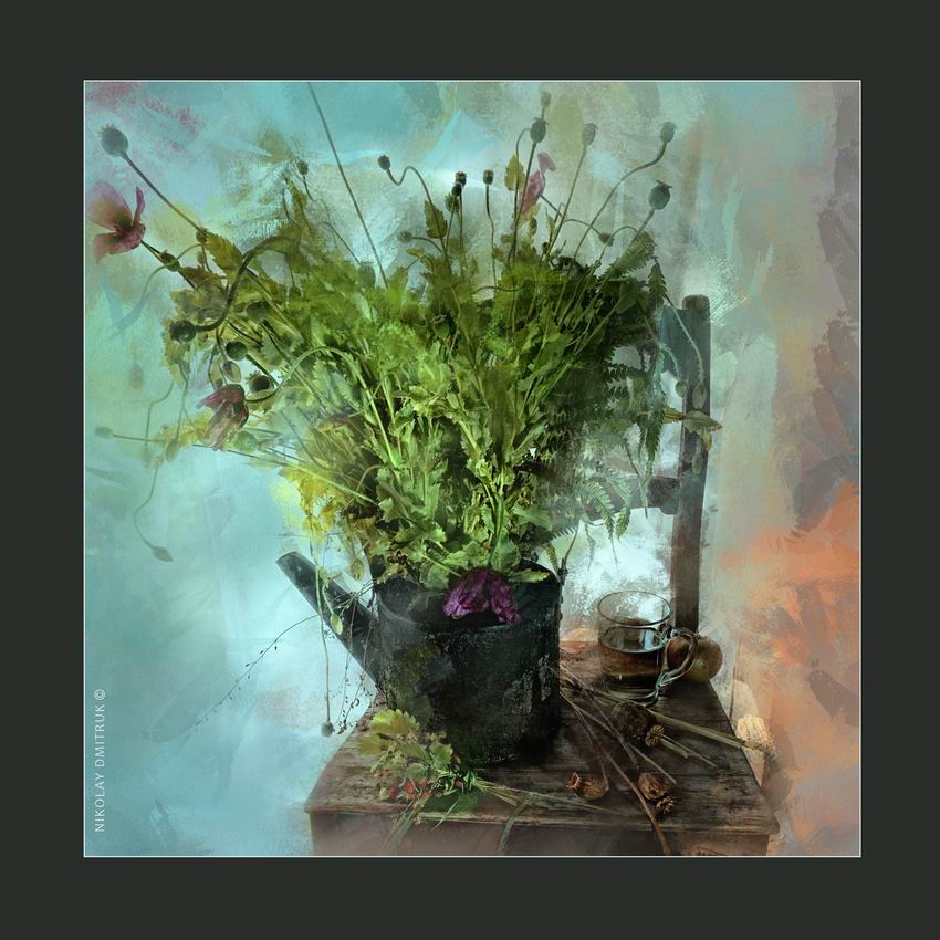 Poppy. Juli. Zvoz 2014