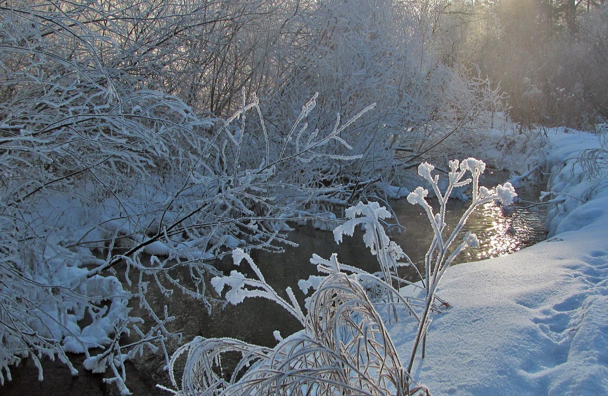 Ein Lichtblick in der Winterreich