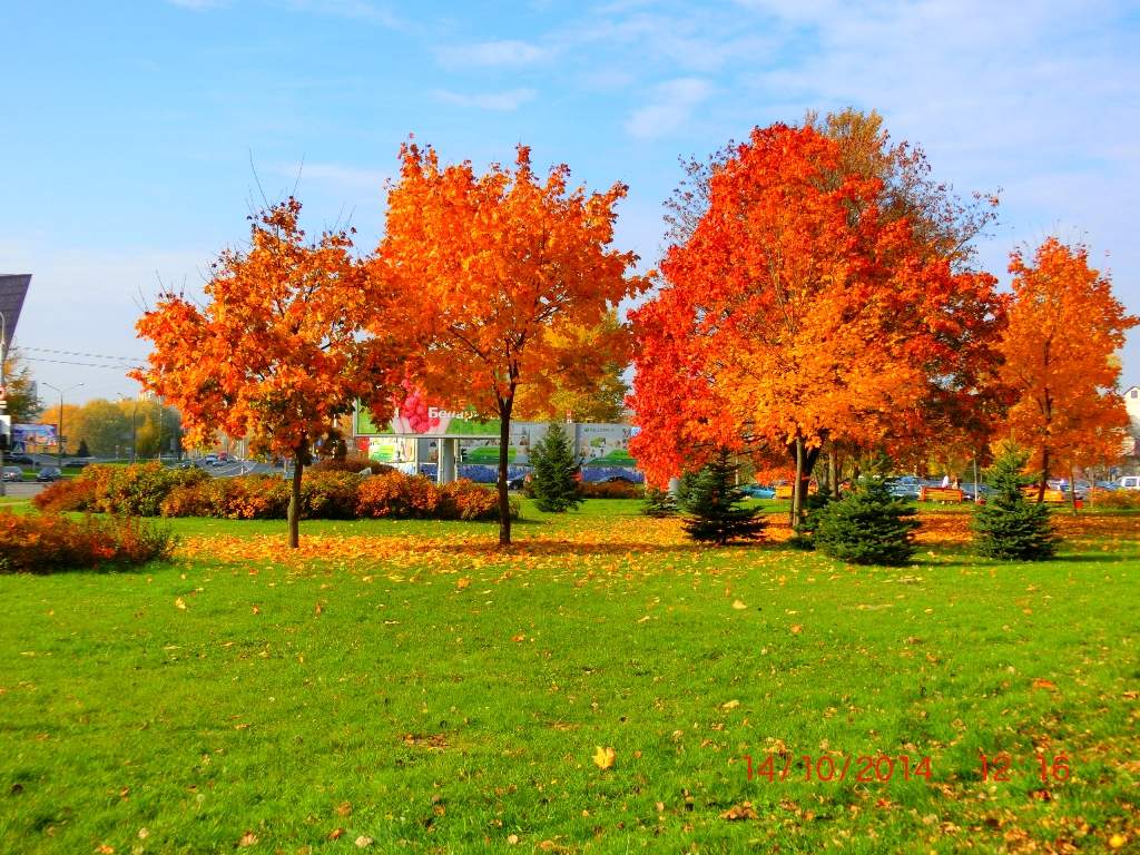 goldenen Herbst Etüde