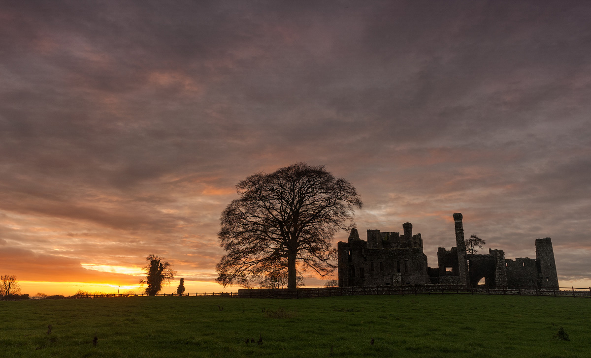 Bective Abbey
