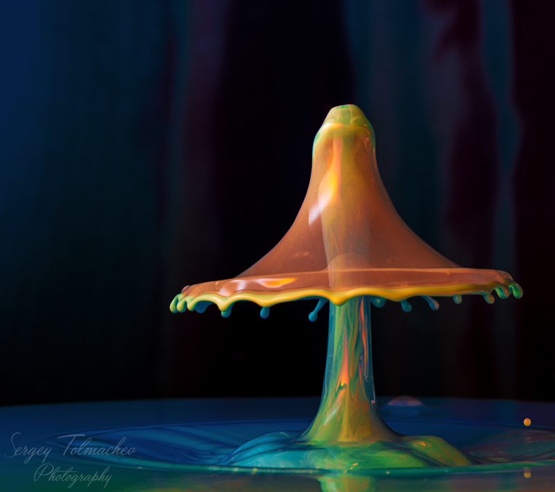 Pilze der Märchenwald ... Jeder von uns hat unsere eigenen Wald.