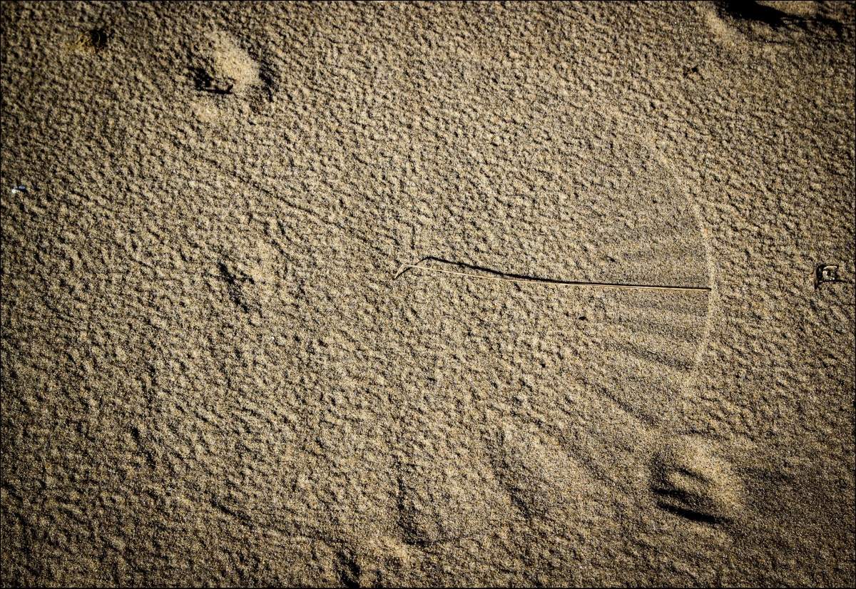 3,50 oder Sonnenuhr Brise