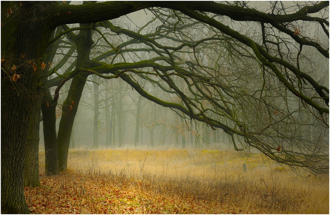 Hands-Niederlassungen