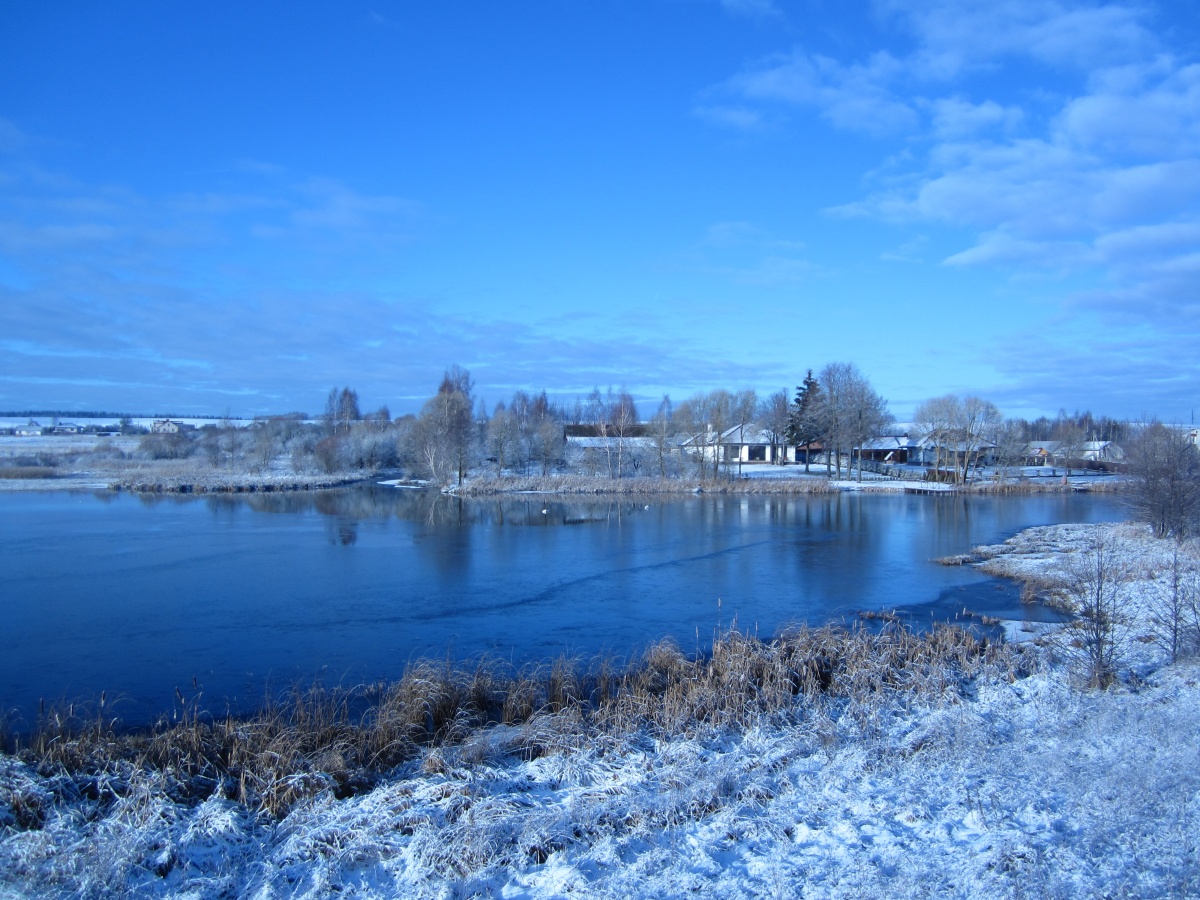 Vivacity Weihnachtsmorgen