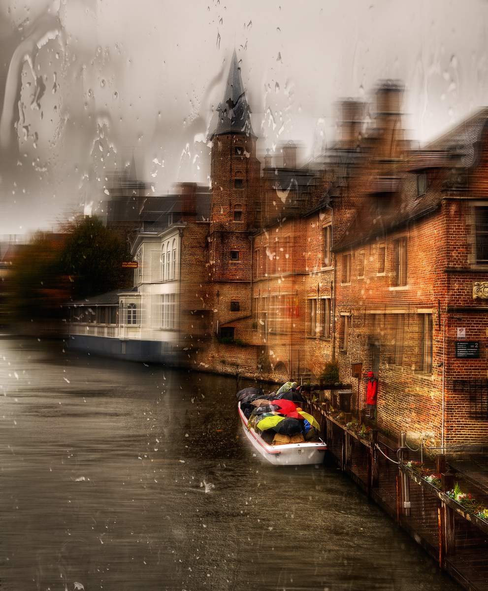 Gäste auf der regen;)