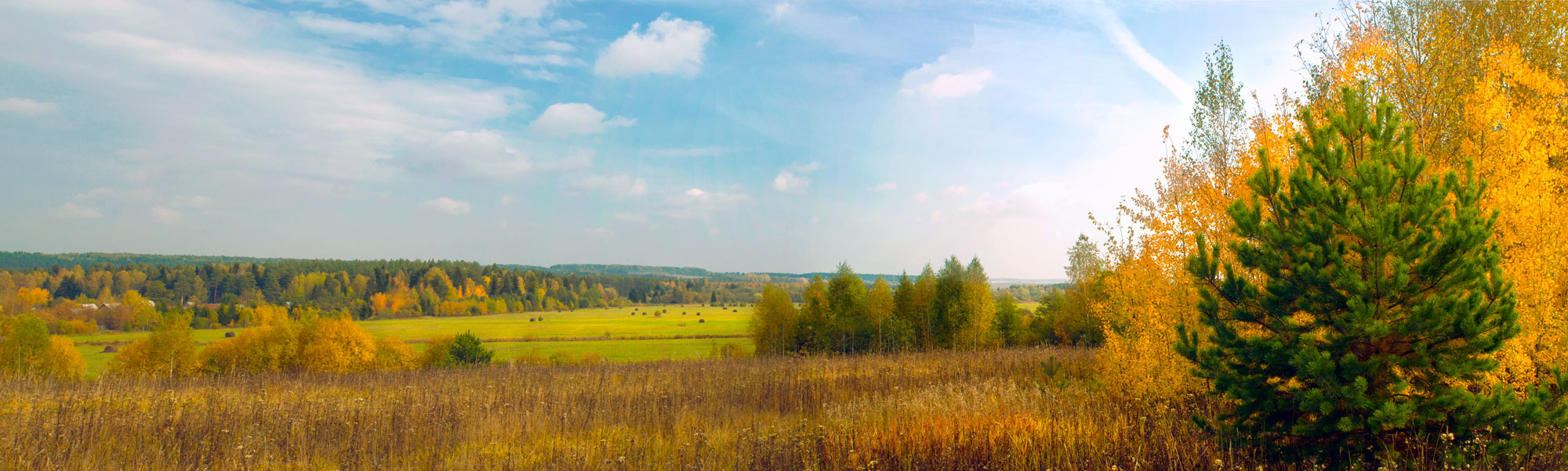 In Erinnerung an den Sturz.