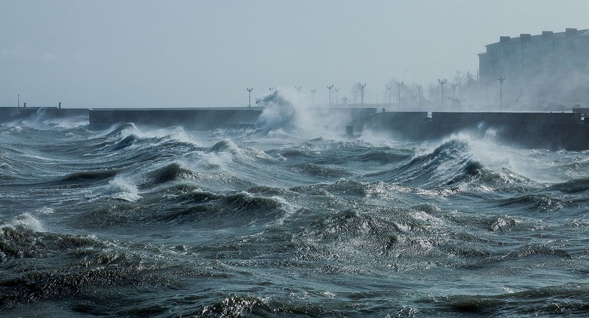 Tapfere Ritter, geboren Element ...