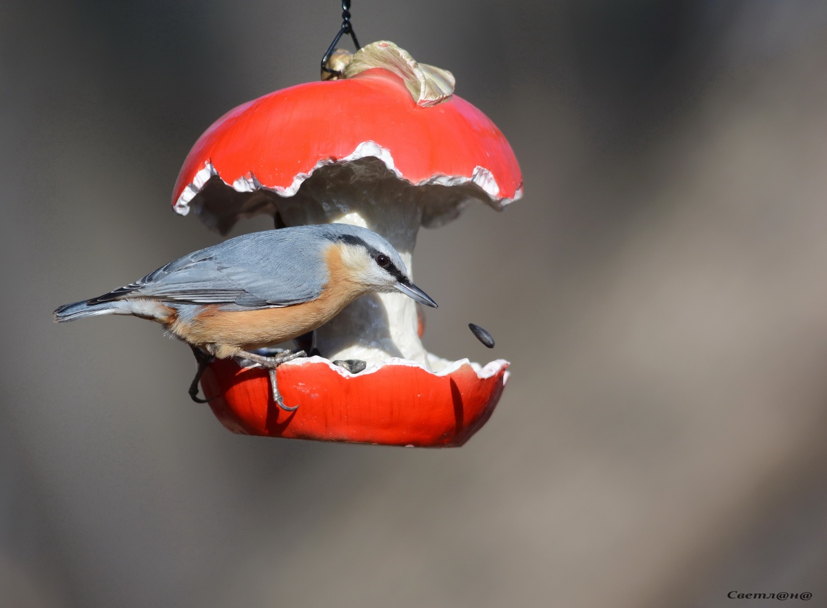 Stoppen Sie einen Moment.