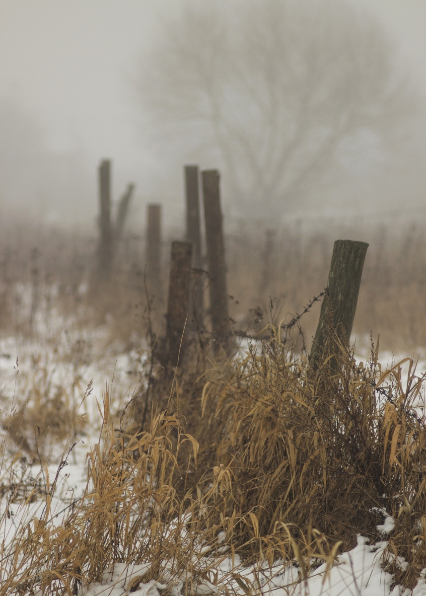 ** Polen bis unendlich ...