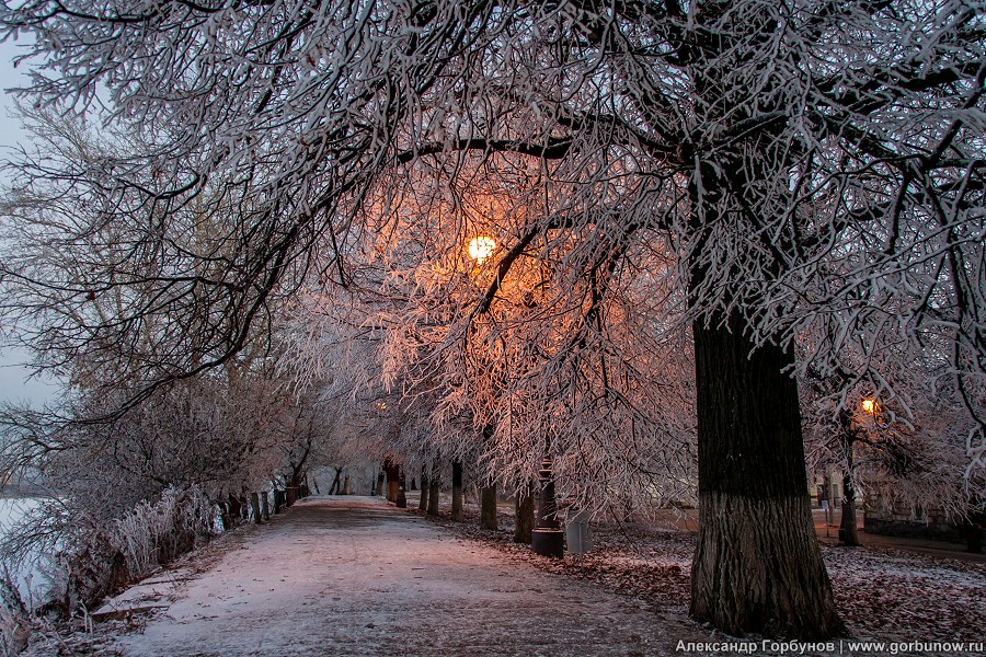 In Erwartung des Abends
