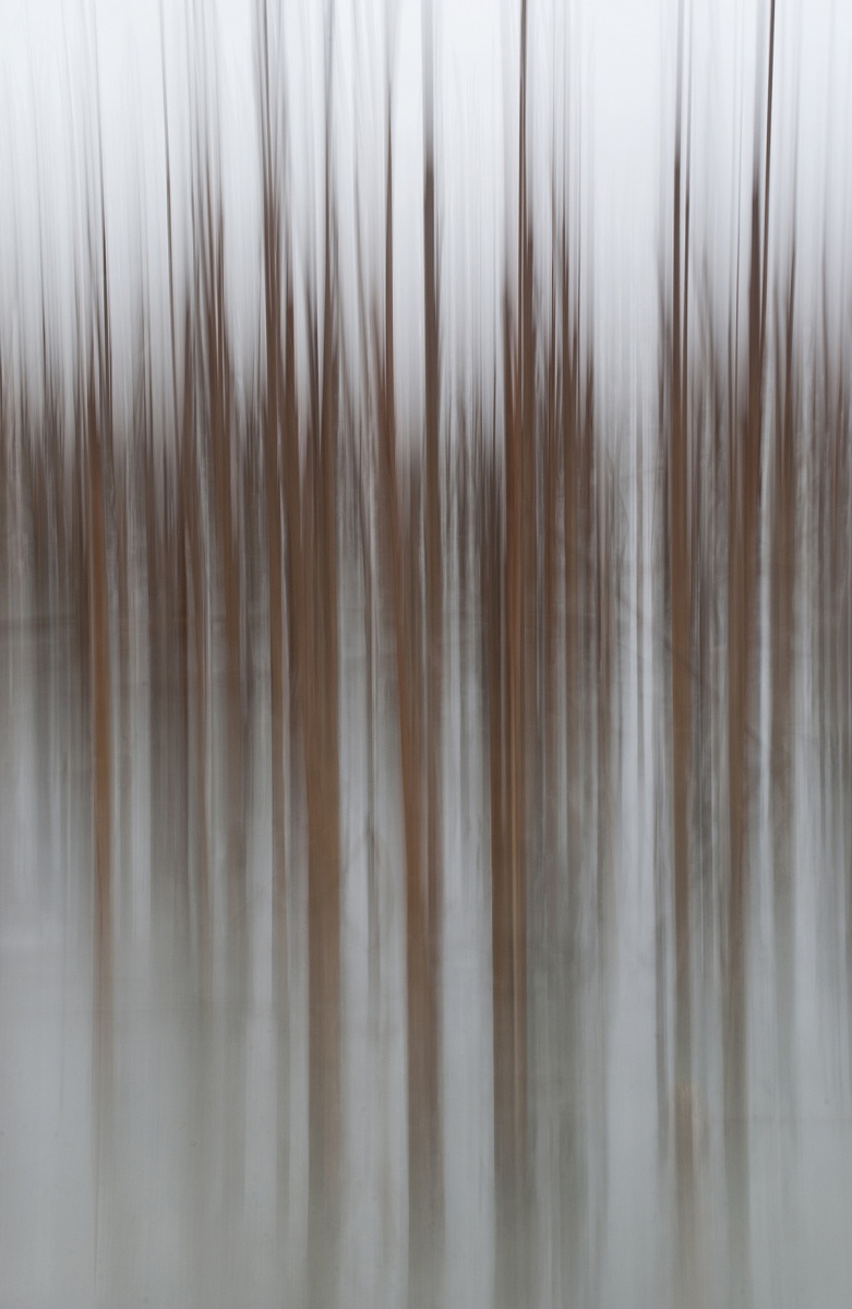 Melody in der Stille