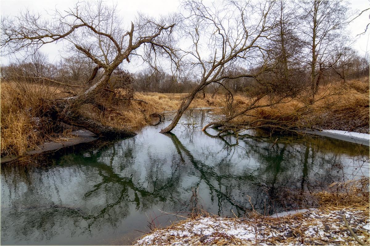 Und in den Wasserbäumchen