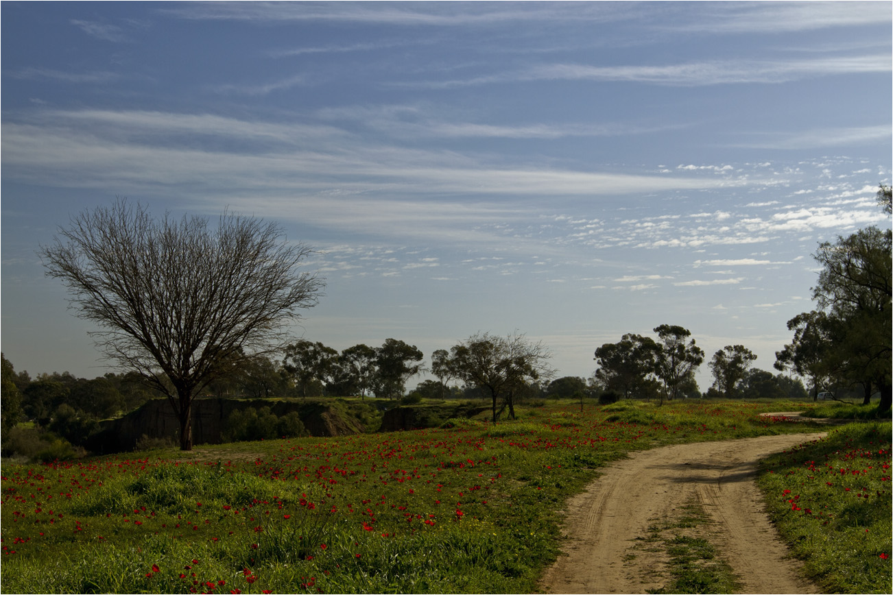 Straße zum Sommer ...