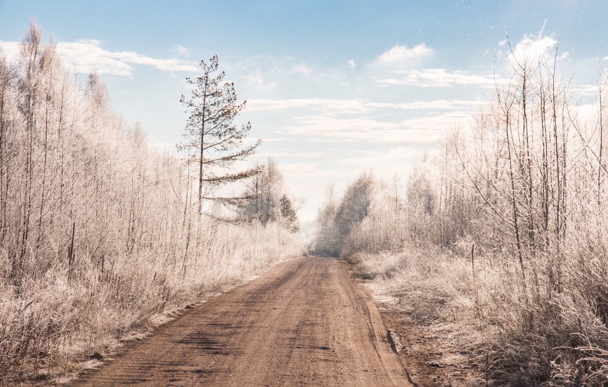 Ein Wintermärchen in Naliboki Wald
