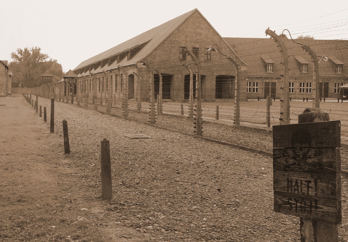 Auschwitz Birkenau_2