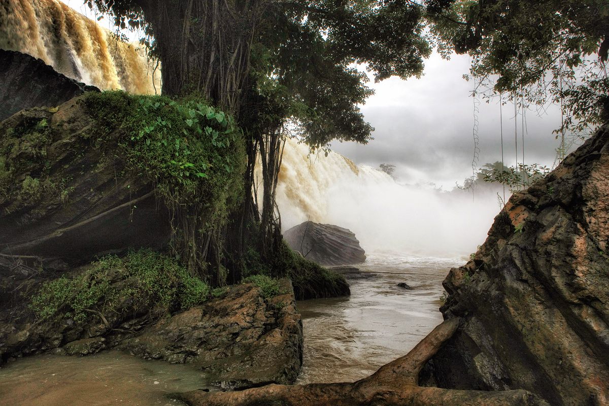 Irgendwo in den Dschungel