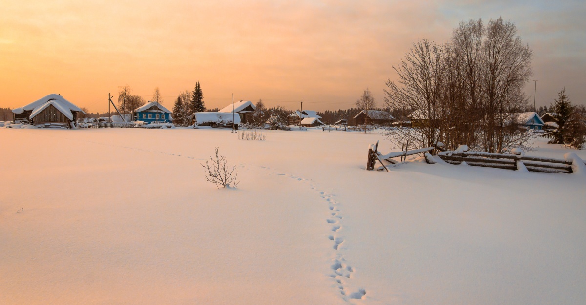 Winter in Vologda ...