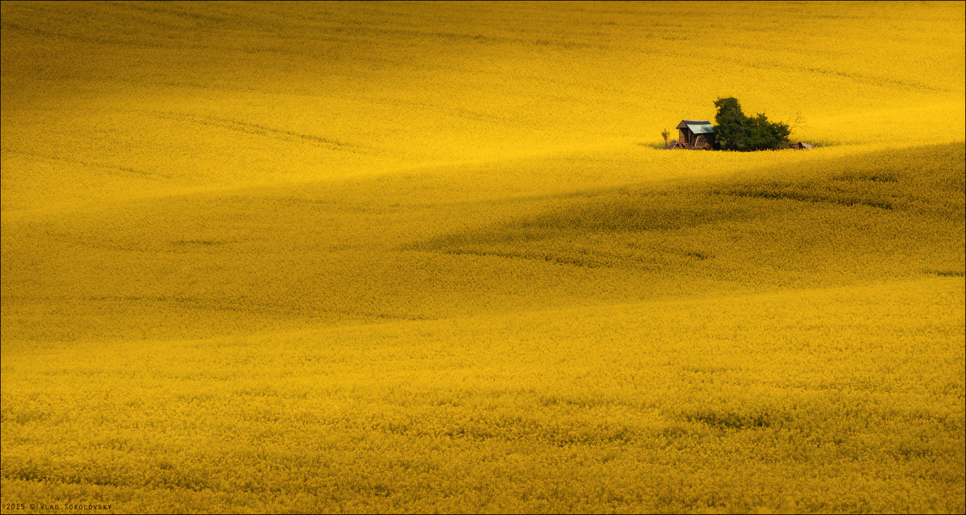 / Mährischen Rhapsody /