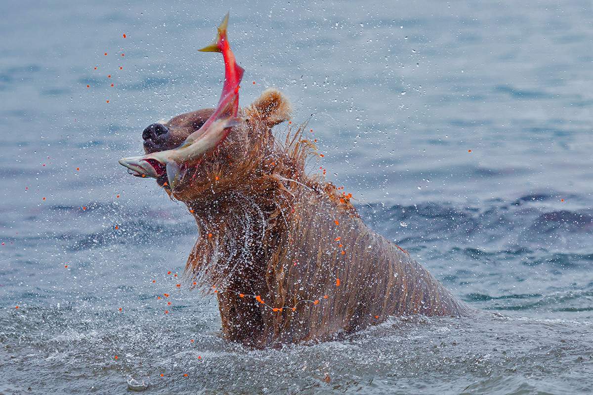 Angeln war ein Erfolg !!!