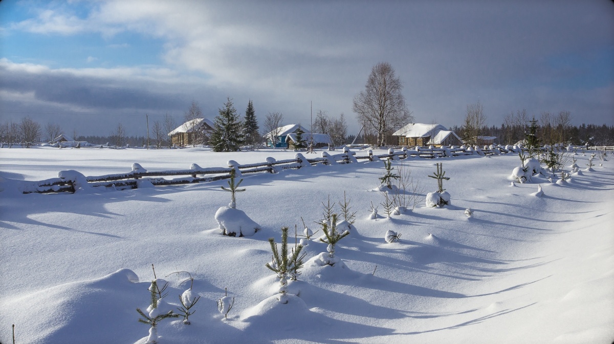 Wir warten auf Frühling ...