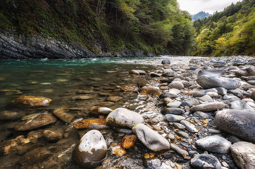Weiß hatte Guzeripl