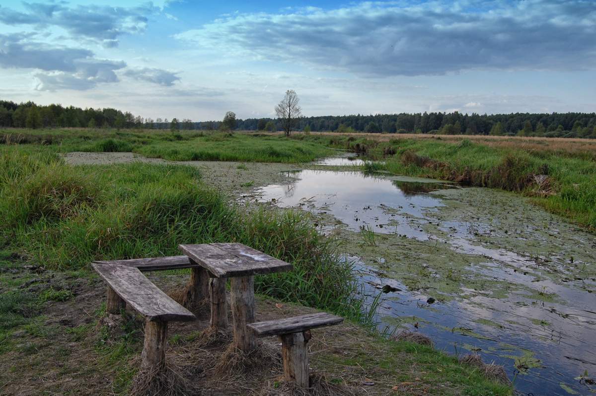 Abend auf dem Fluss "Forest"