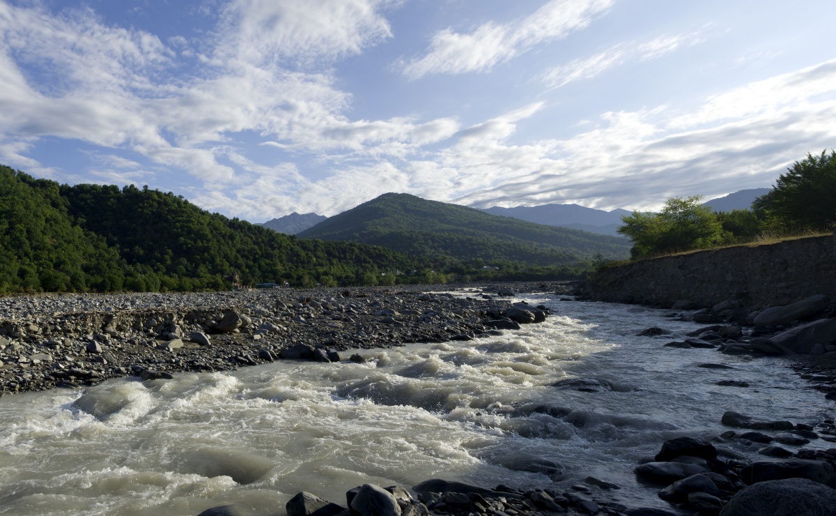 Futterlagerlebensdauer